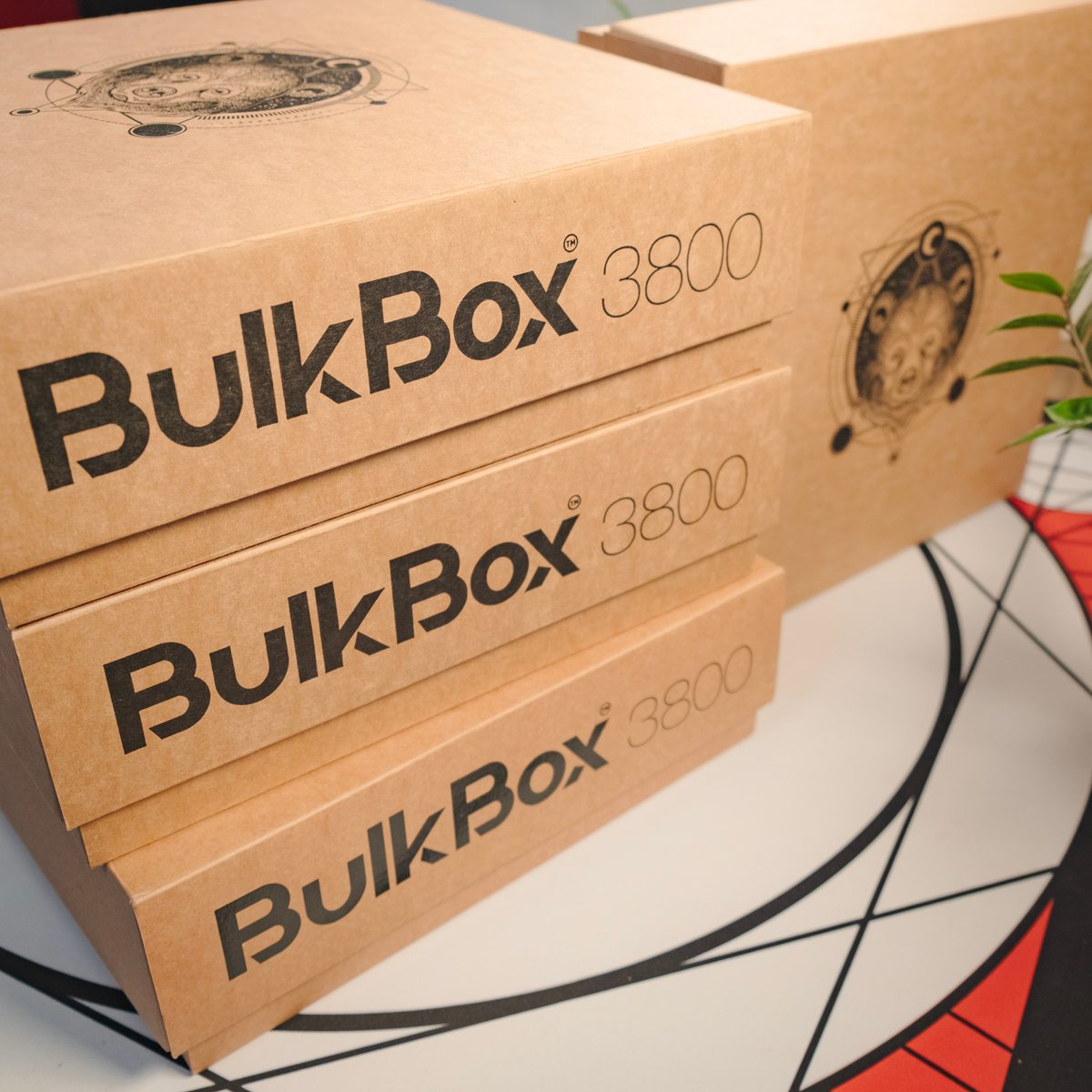 Unboxing de la boîte de rangement de cartes BulkBox